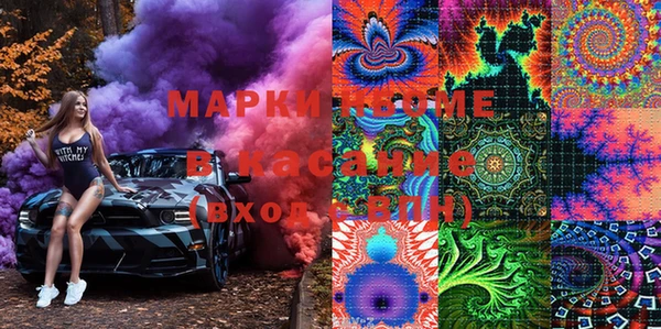 индика Абаза