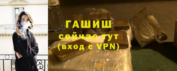 индика Абаза