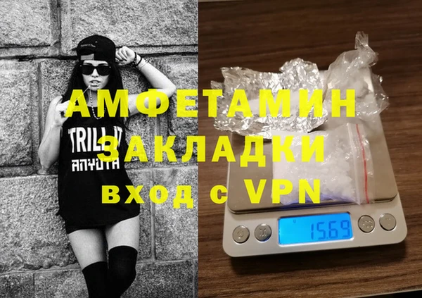 индика Абаза
