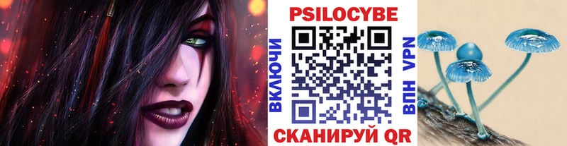 hydra ONION Адыгейск Галлюциногенные грибы Psilocybine cubensis